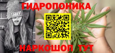 дмт Балахна