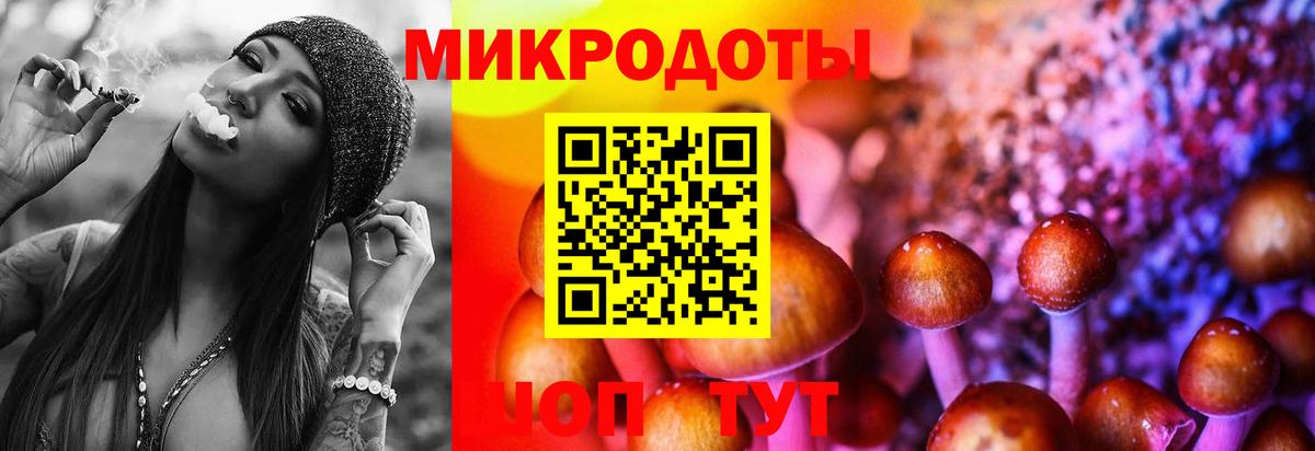 Галлюциногенные грибы ЛСД Будённовск