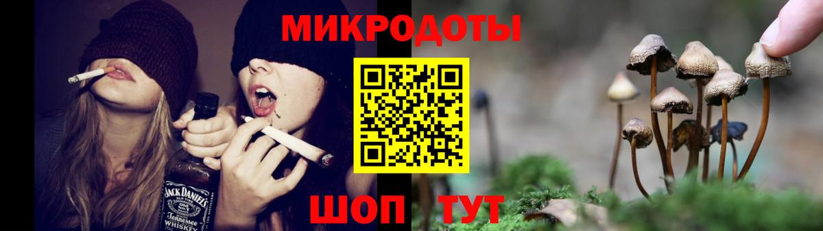 Будённовск  Галлюциногенные грибы мицелий  Вход с VPN  где купить наркотик  Псилоцибиновые грибы GOLDEN TEACHER 