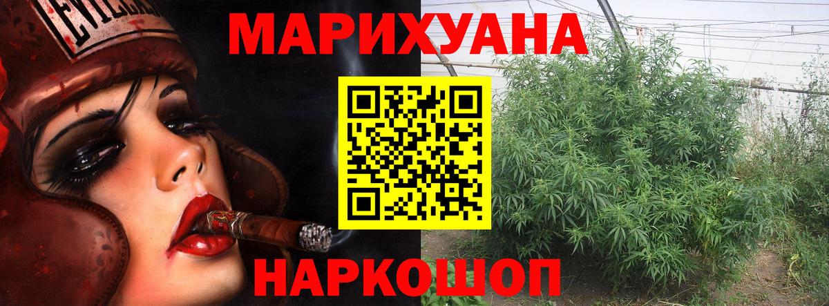 Бошки марихуана White Widow  Вход с VPN  Конопля Amnesia  Каннабис сатива  Будённовск 